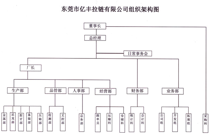 组织架构 - 东莞午夜福利电影网午夜福利伦伦电影理论片在线观看有限公司