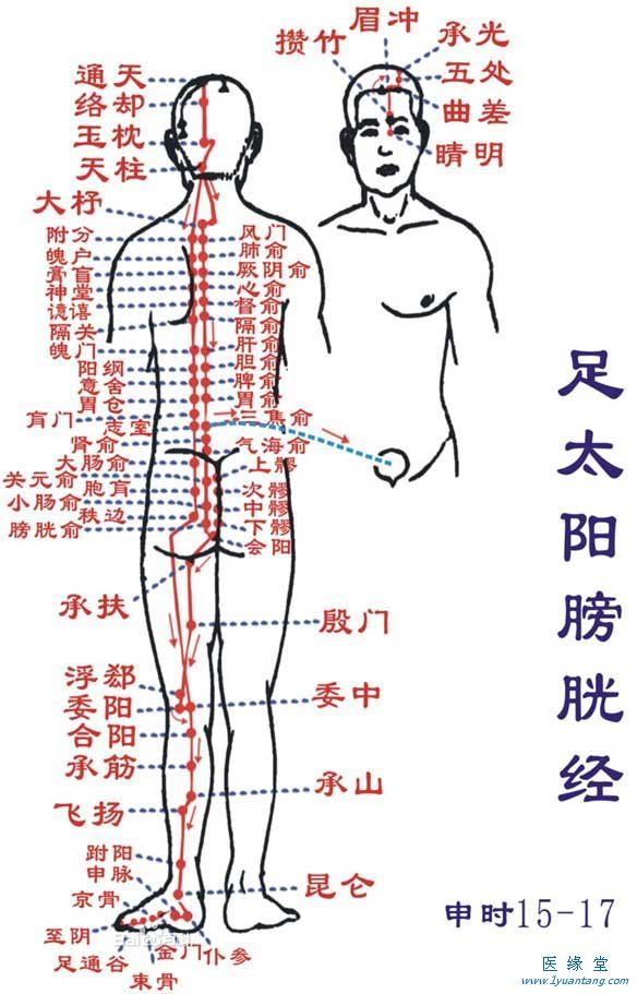 如何利用足太阳膀胱经“生命午夜福利伦伦电影理论片在线观看”提精神，增加健康指数